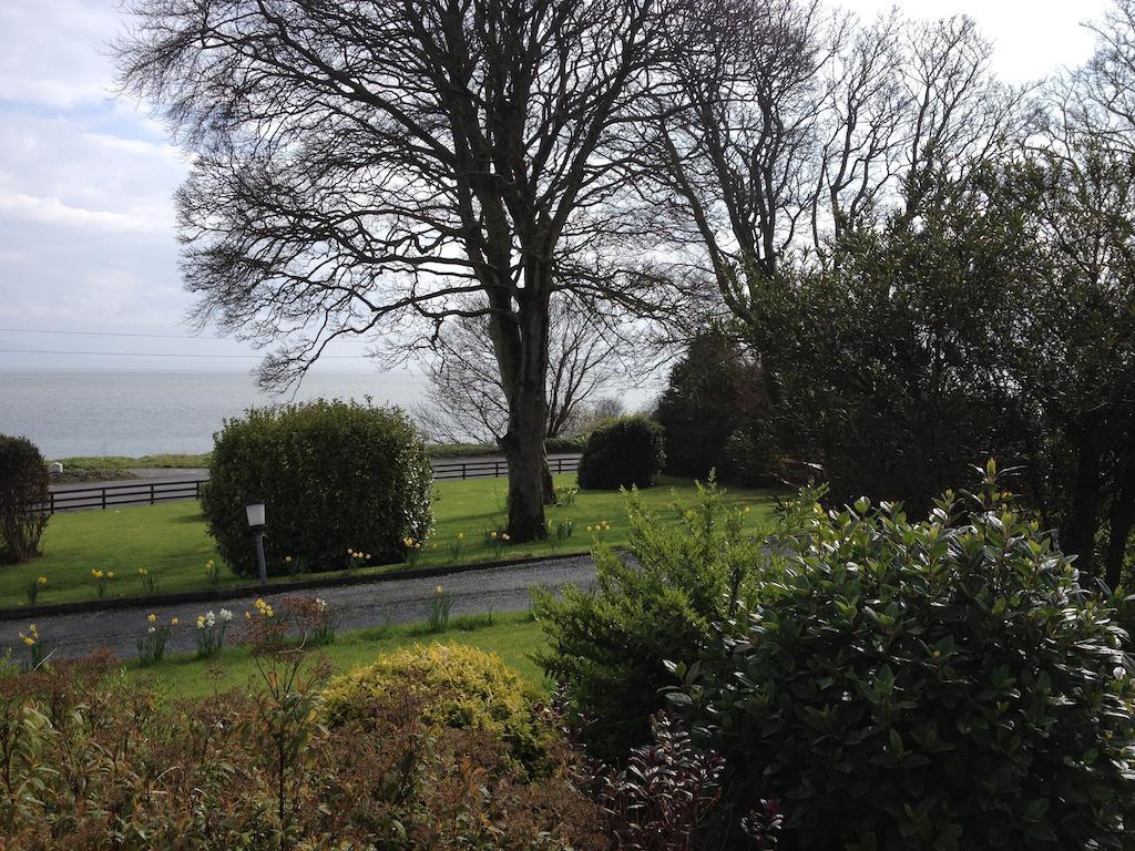 Admiralty House Bed & Breakfast Moville Dış mekan fotoğraf